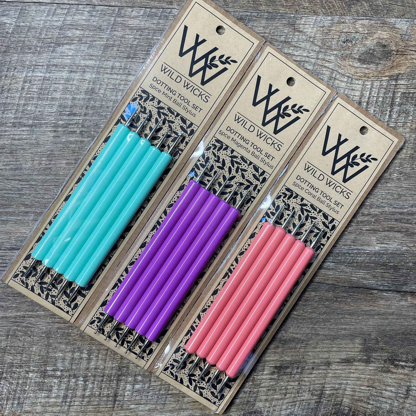 Coloured Ball Stylus Dotting Tools