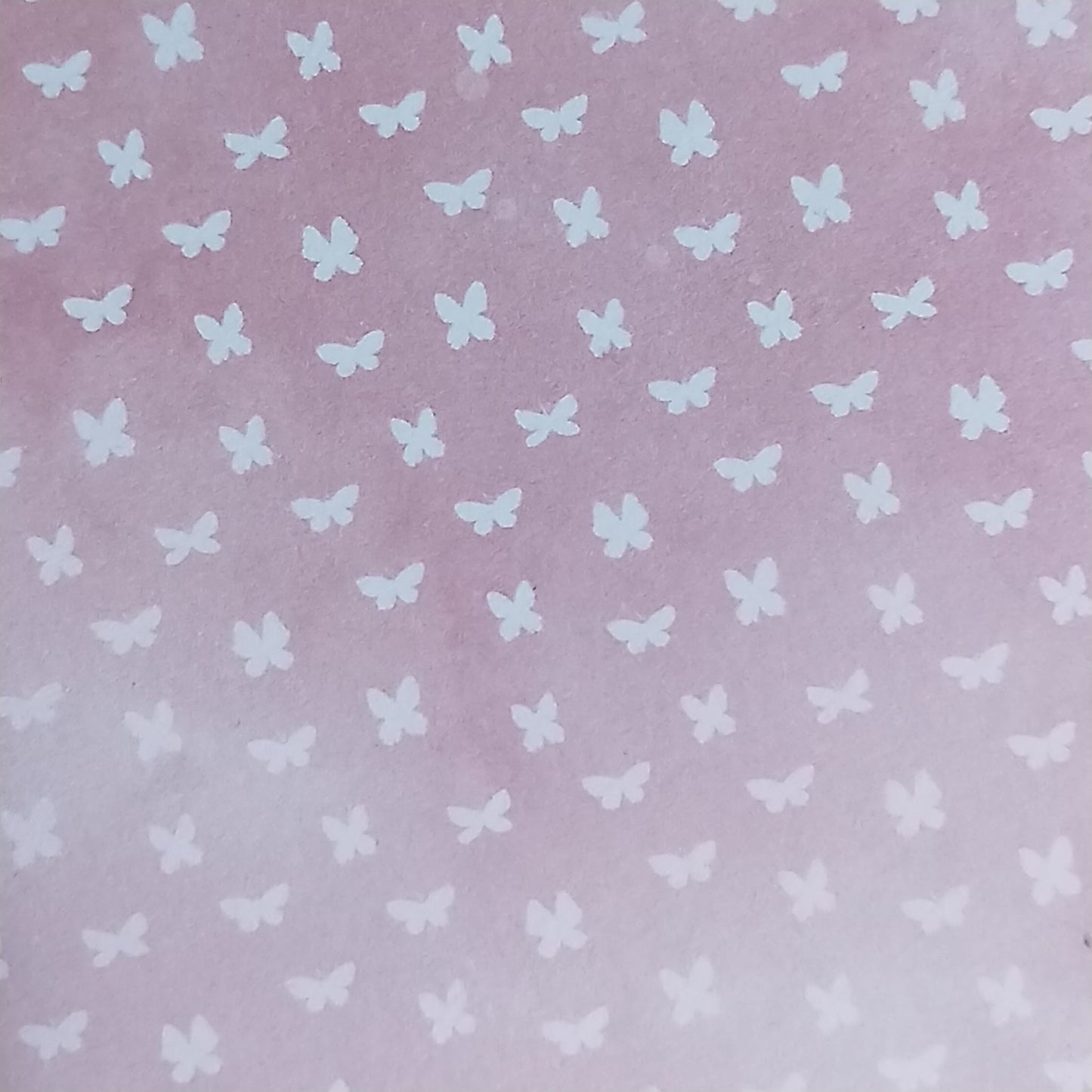 Wilddori 40 sheet Blank Insert - Tiny Butterfly Pink