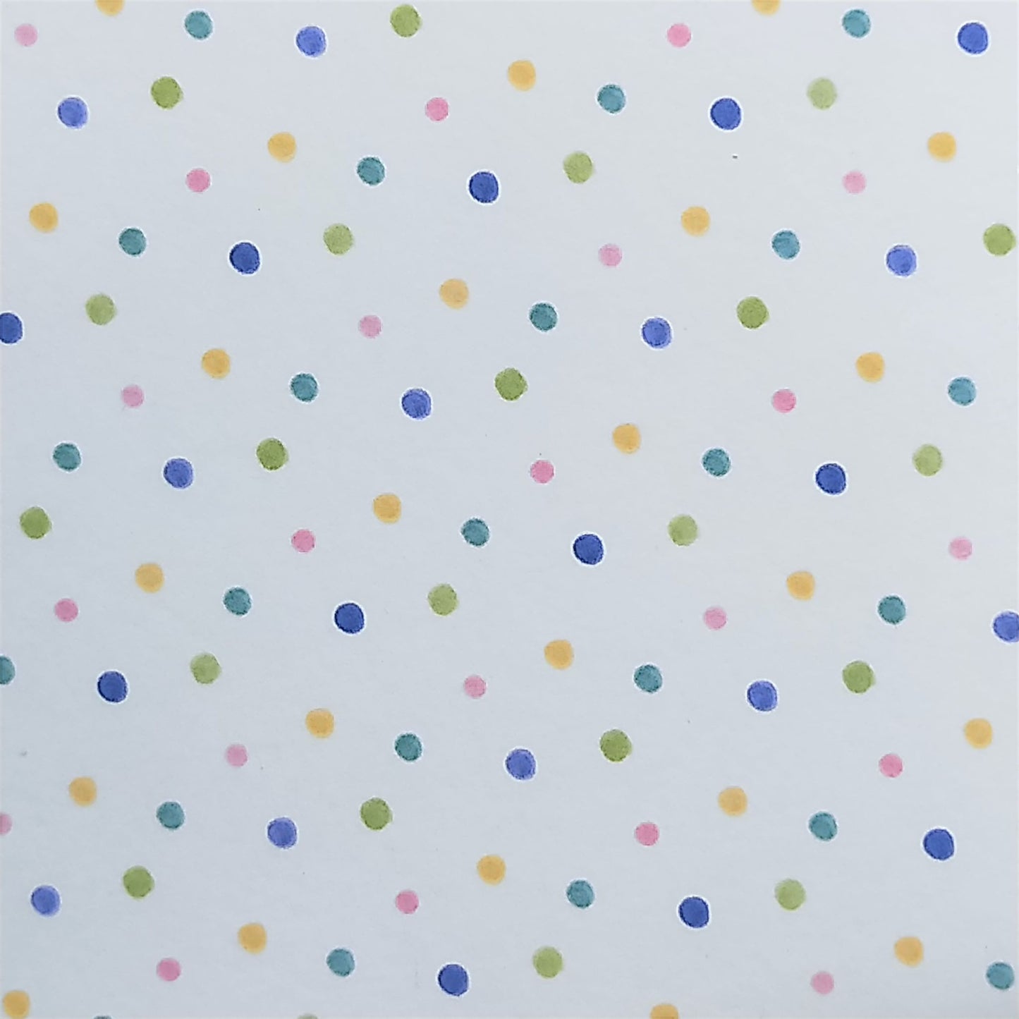 Wilddori 40 sheet Blank Insert - Rainbow Dots