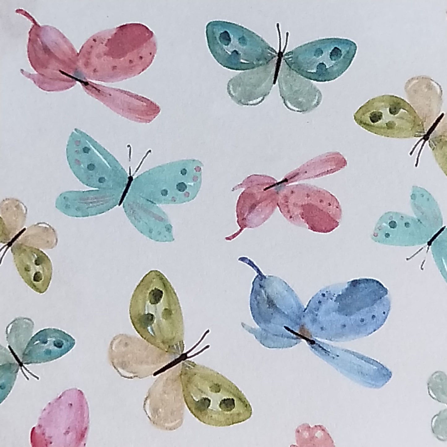 Wilddori 40 sheet Blank Insert - Rainbow Butterflies