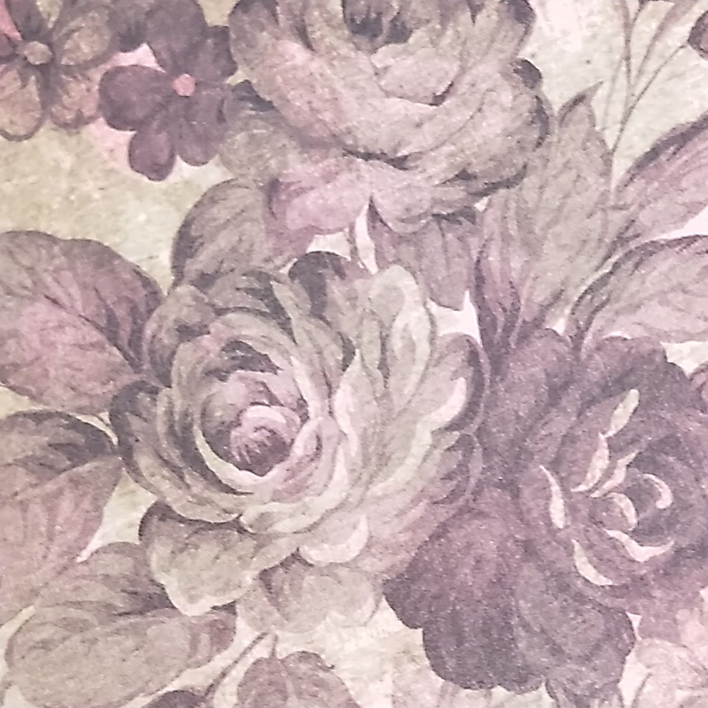 Wilddori 40 sheet Blank Insert - Kraft Rose