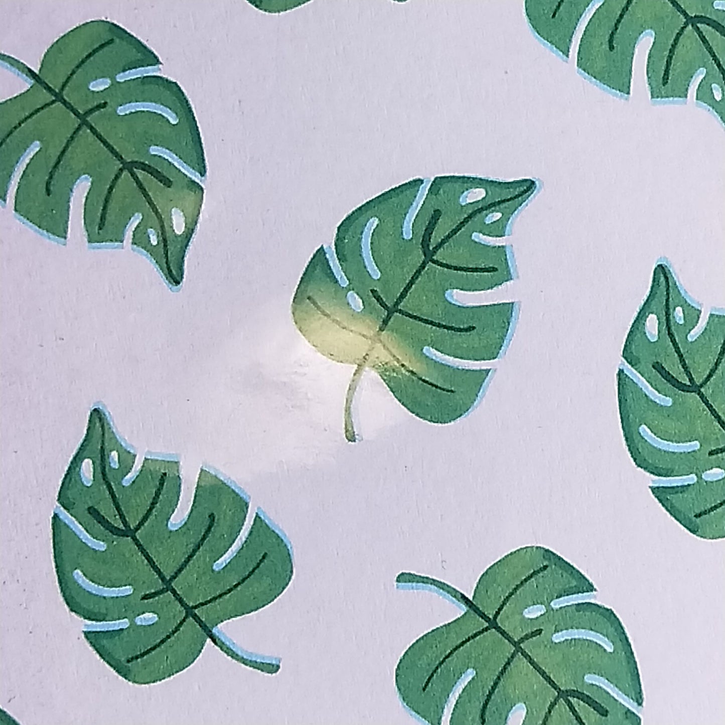 Wilddori 40 sheet Blank Insert - Monteria Leaf