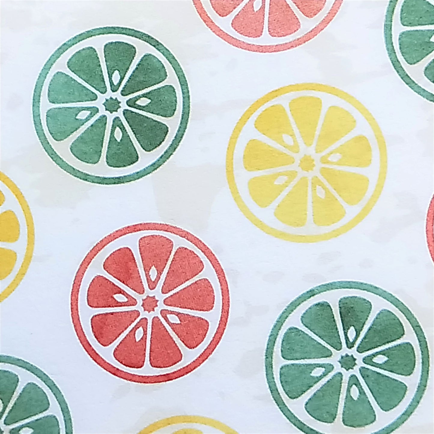 Wilddori 40 sheet Blank Insert - Citrus Slice