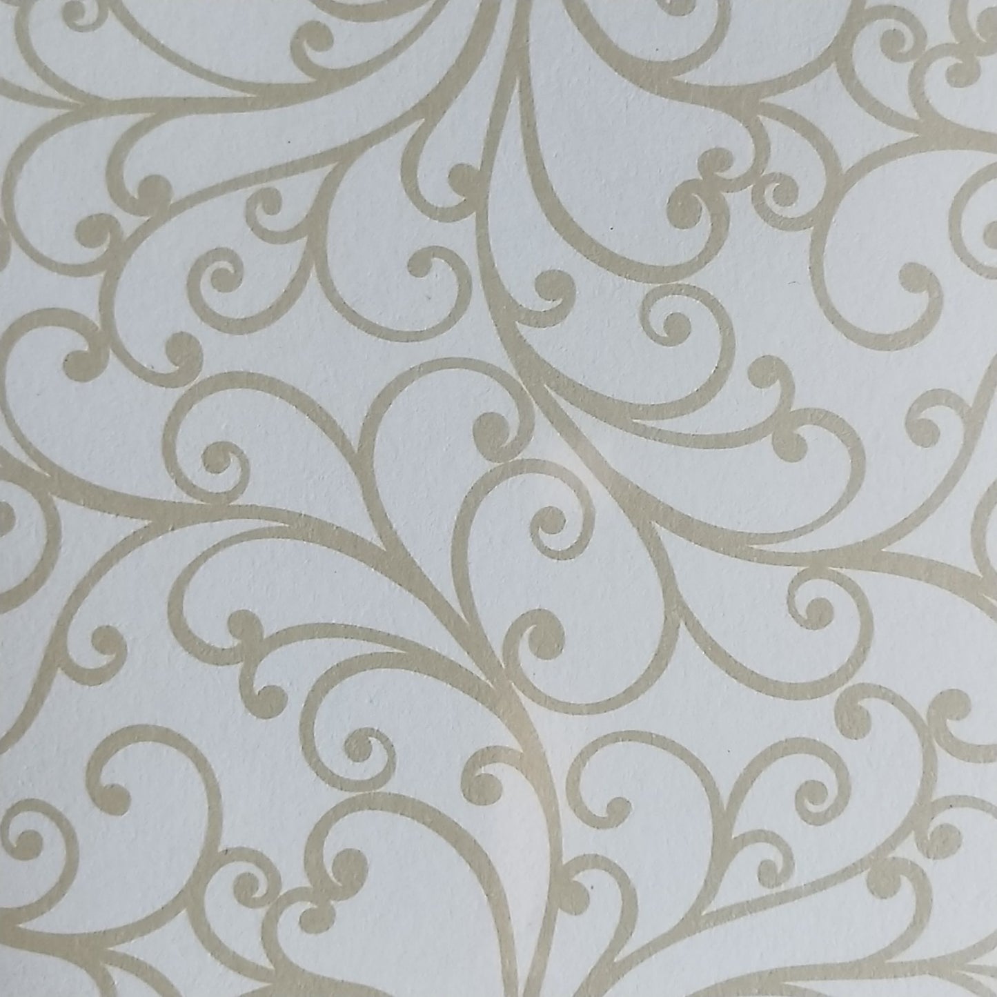 Wilddori 40 sheet Blank Insert - Neutral Swirls