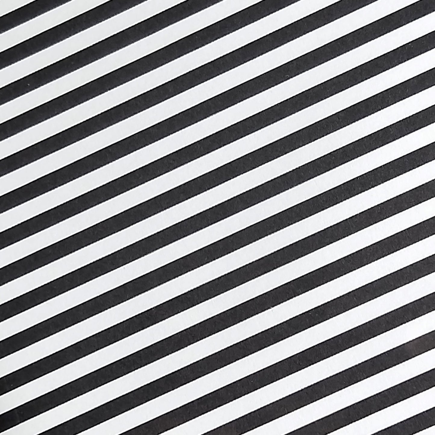 Wilddori 40 sheet Blank Insert - Thin Black Stripe