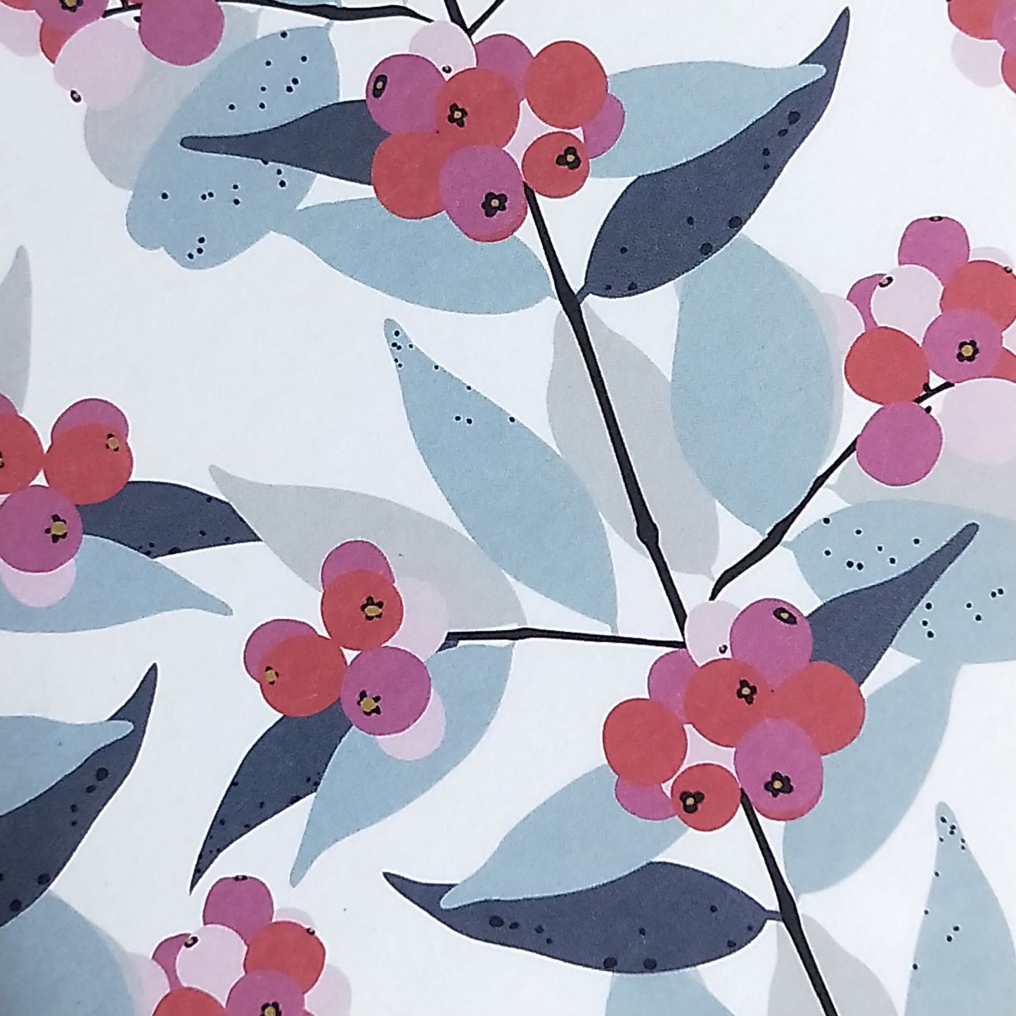 Wilddori 40 sheet Blank Insert - Pink Berries