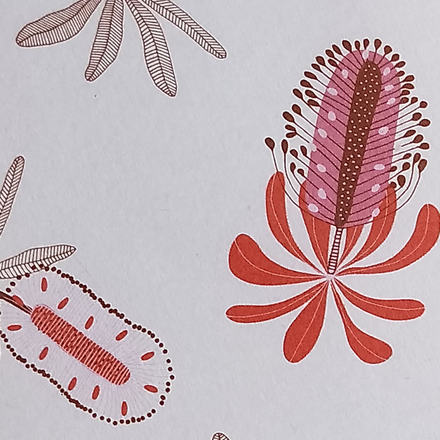 Wilddori 40 sheet Blank Insert - Banksia Blooms