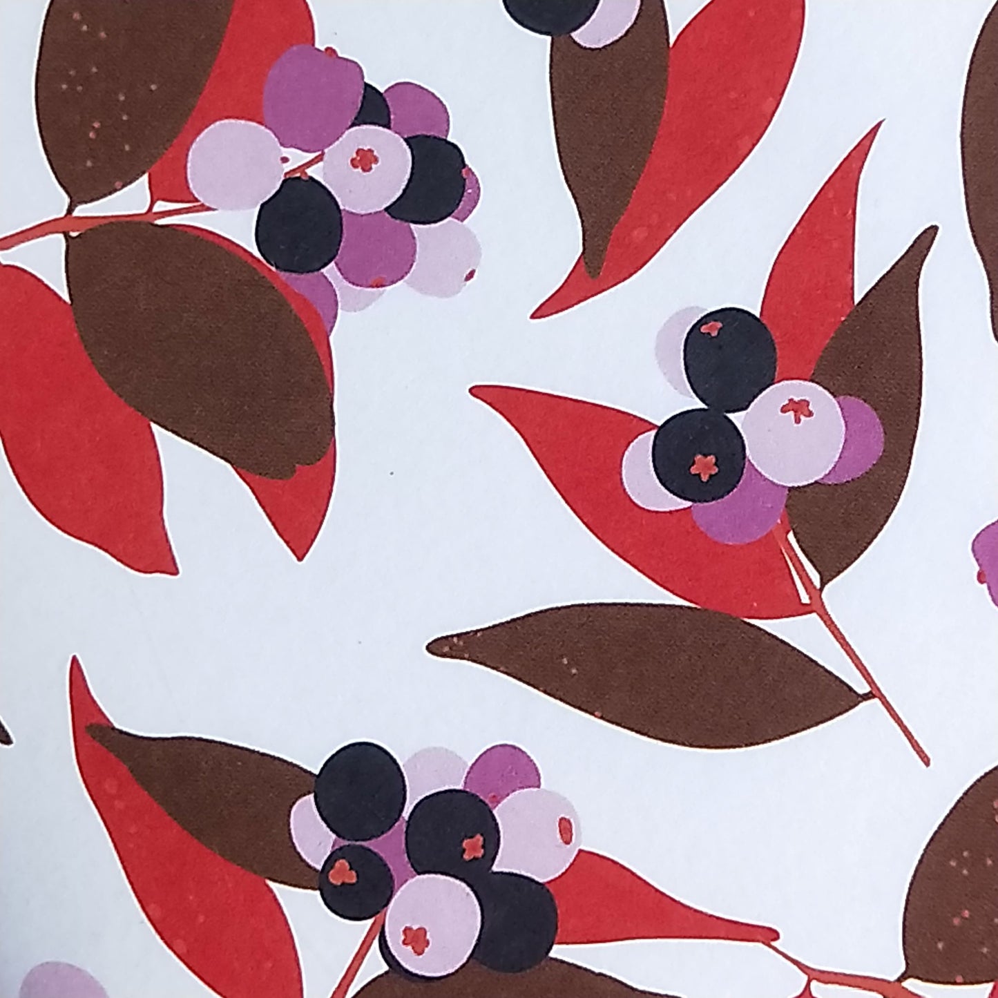 Wilddori 40 sheet Blank Insert - Australian Berries