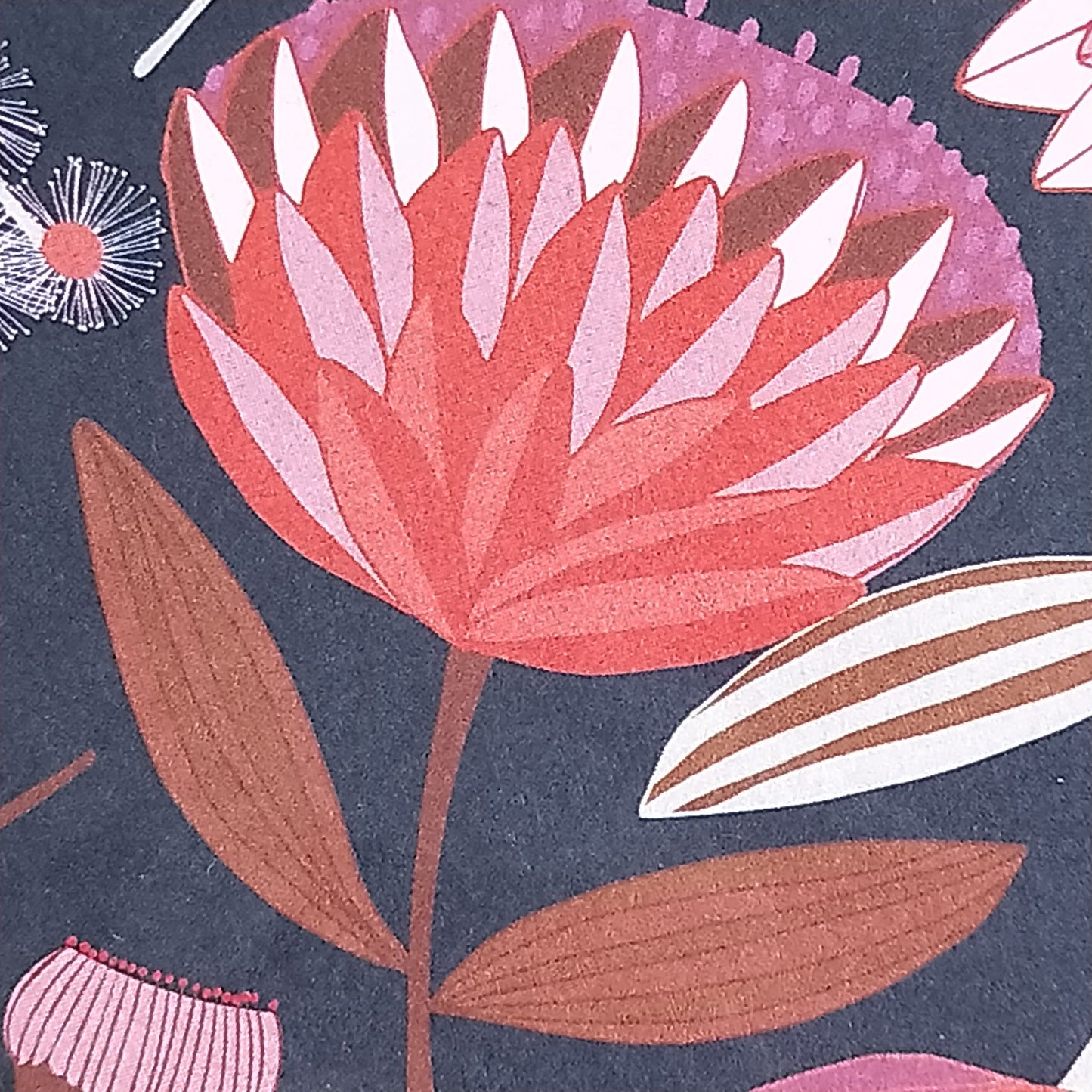 Wilddori 40 sheet Blank Insert - Protea and Gum