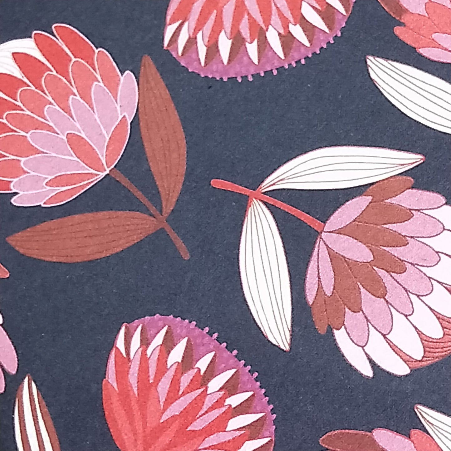 Wilddori 40 sheet Blank Insert - Protea Blooms