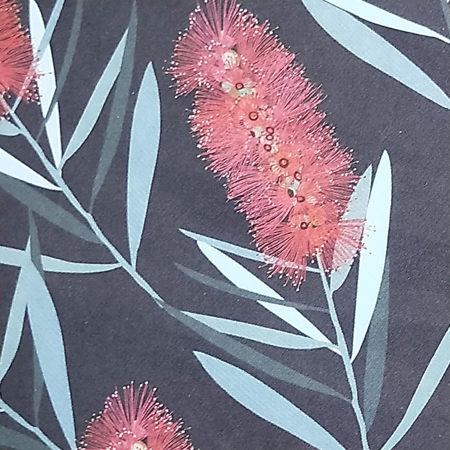 Wilddori 40 sheet Blank Insert - Callistemon Red