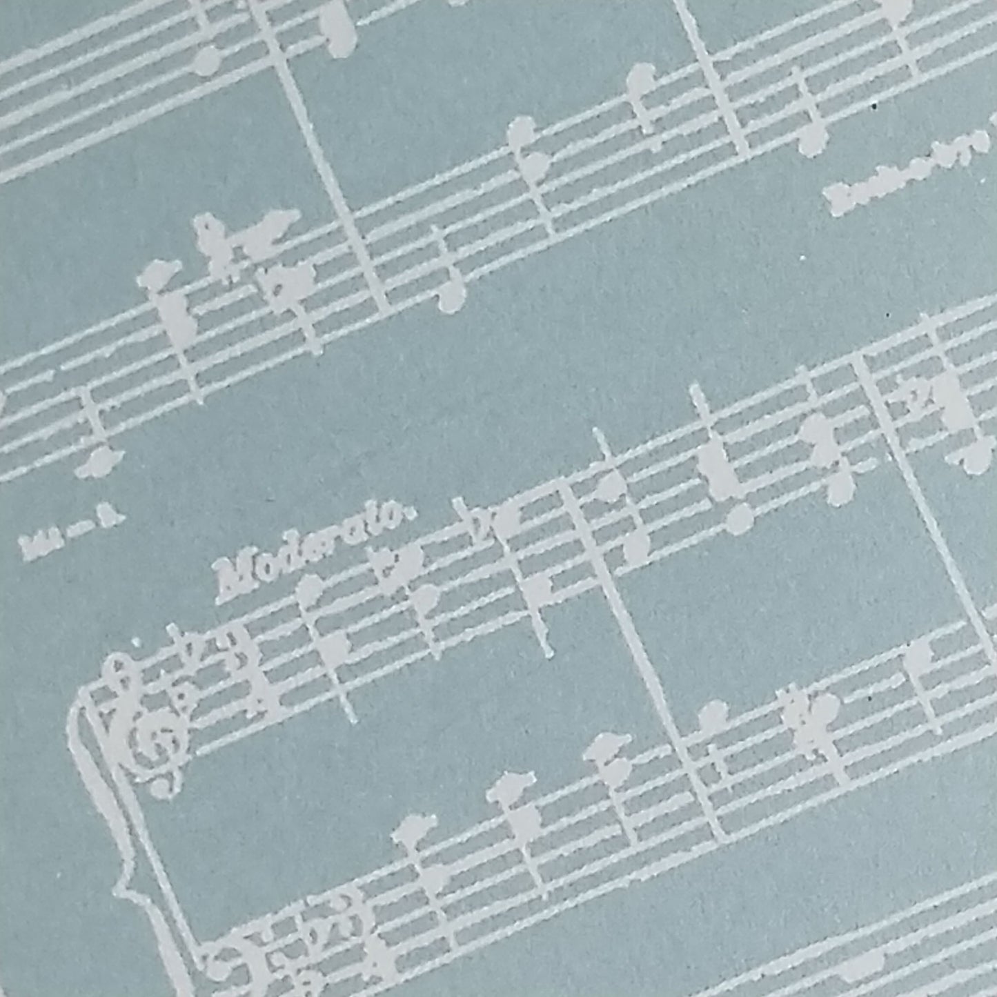 Wilddori 40 sheet Blank Insert - Baby Boy Sheet Music