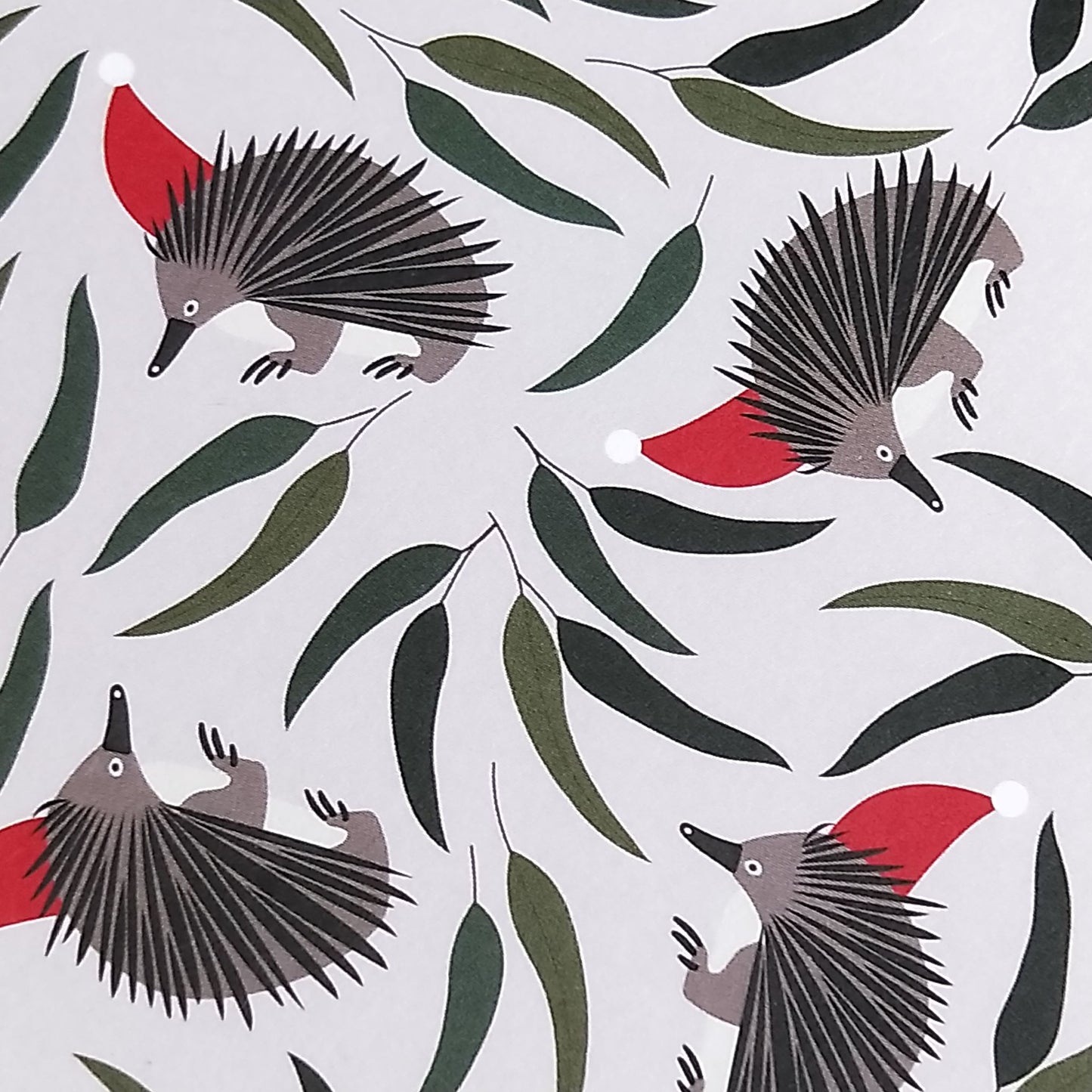 Wilddori 40 sheet Blank Insert - Aussie Christmas Echidna Leaves