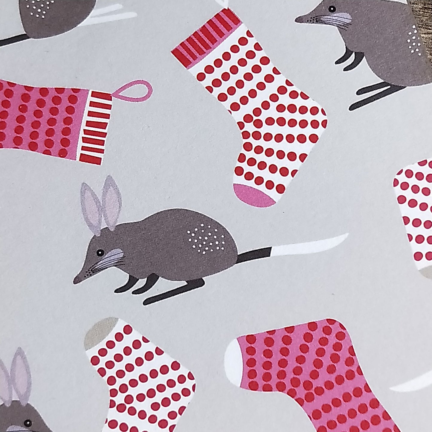 Wilddori 40 sheet Blank Insert - Aussie Christmas Stockings Bilby