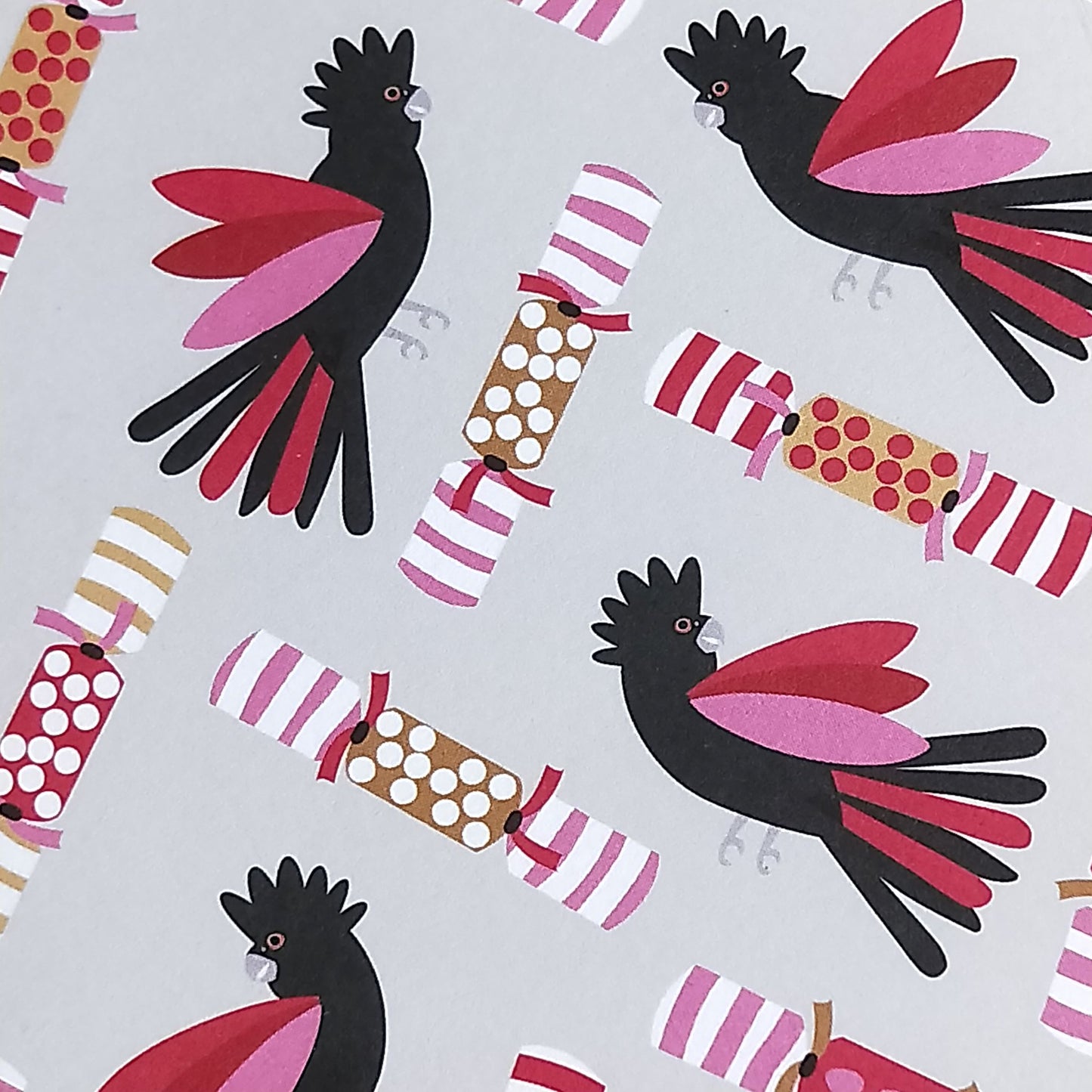 Wilddori 40 sheet Blank Insert - Aussie Christmas Cockatoo Crackers