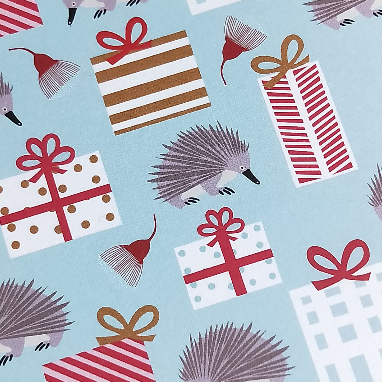 Wilddori 40 sheet Blank Insert - Aussie Christmas Echidna Presents