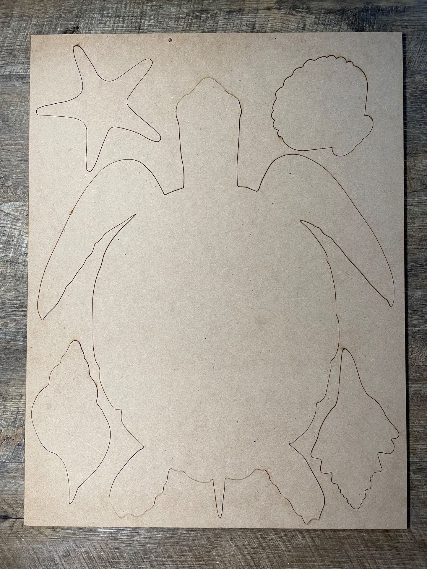 MDF Cutout Turtle Set 1