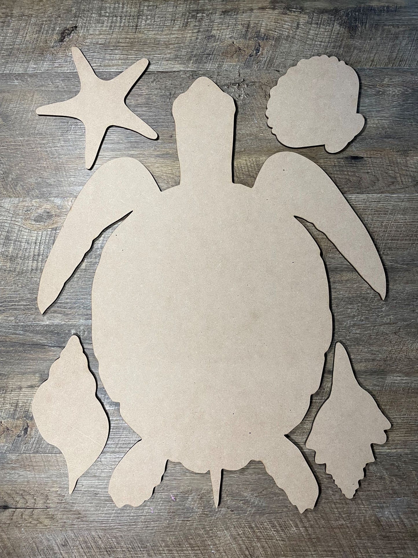MDF Cutout Turtle Set 1