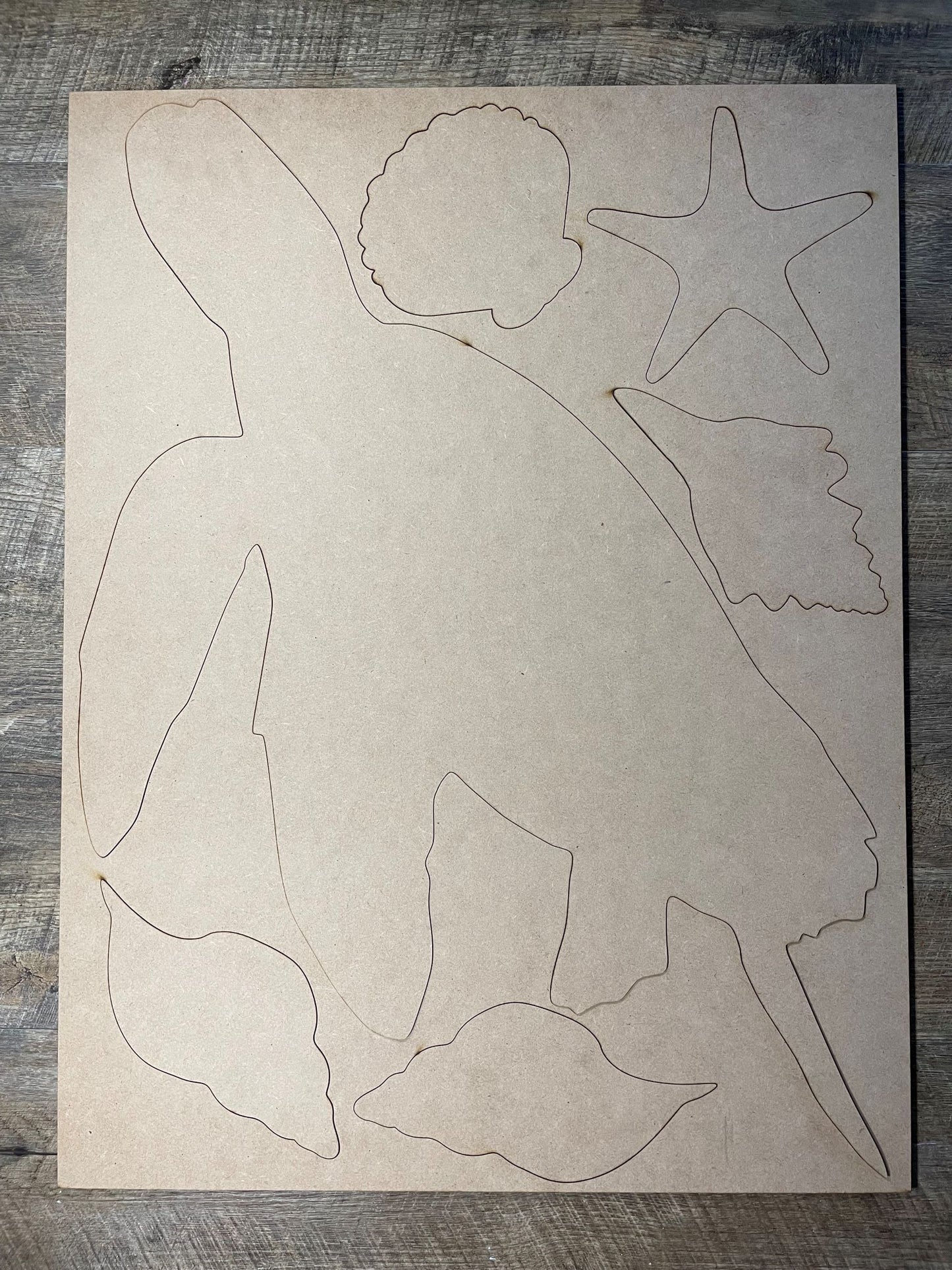 MDF Cutout Turtle Set 2