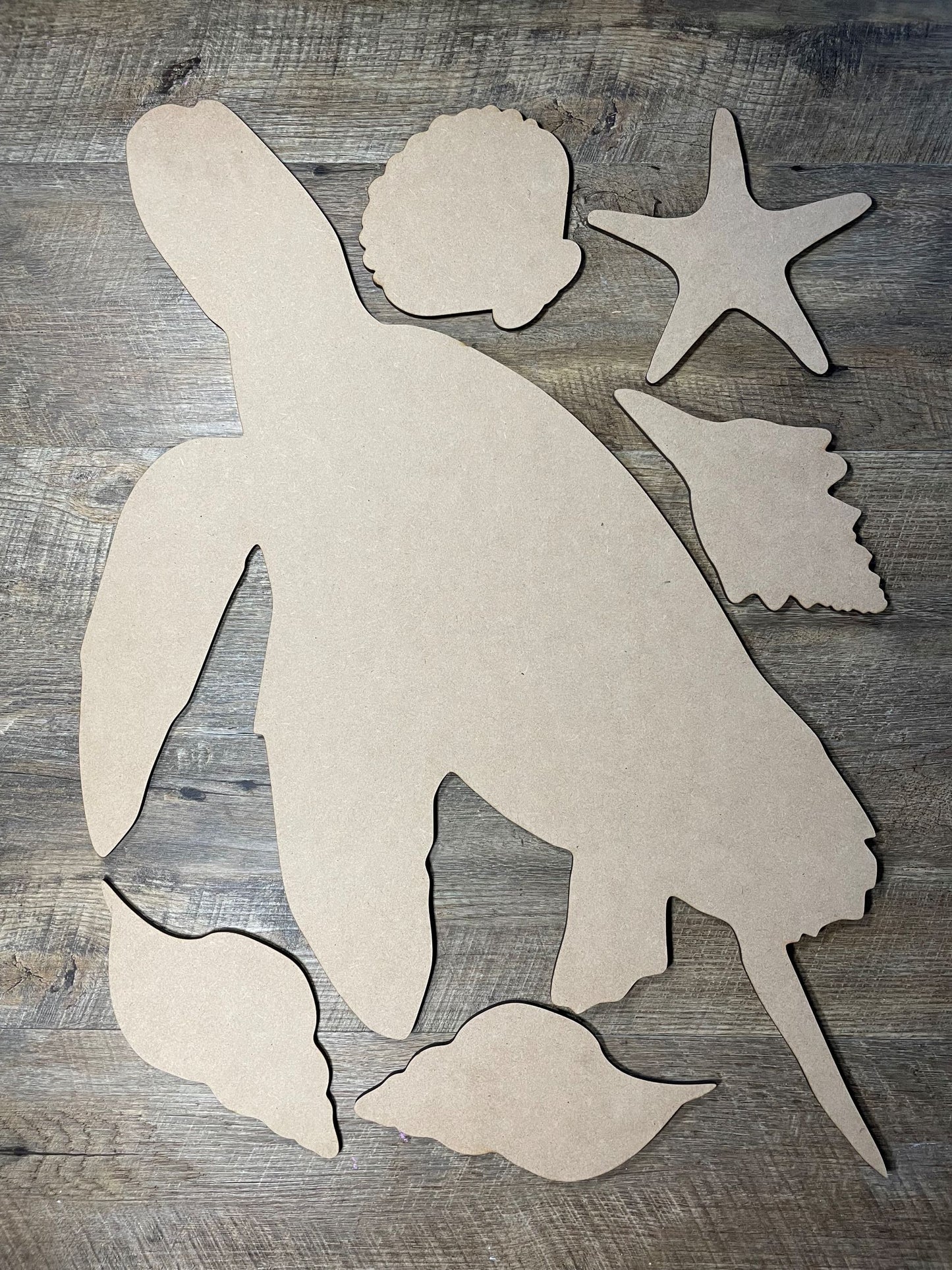 MDF Cutout Turtle Set 2
