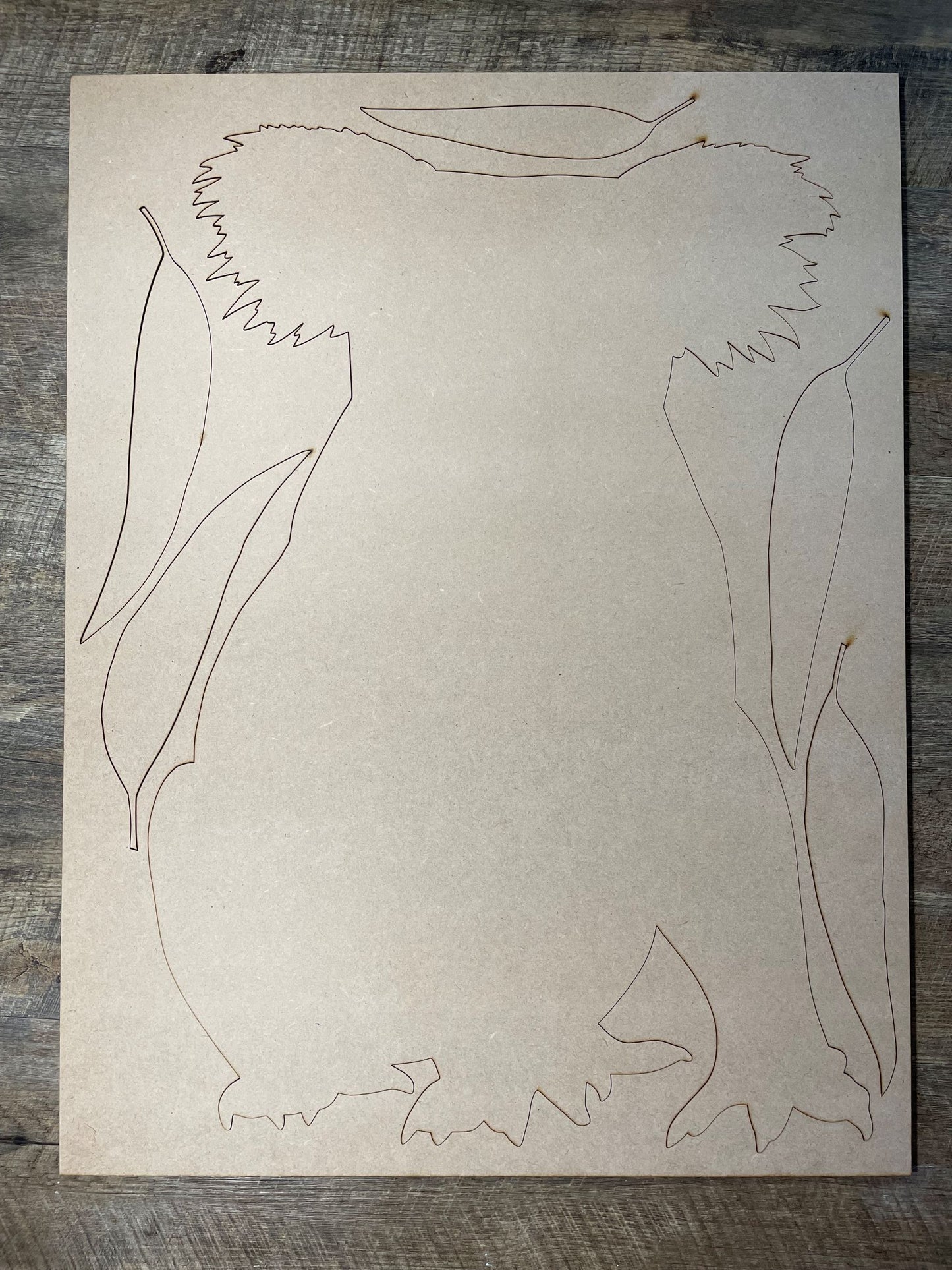 MDF Cutout Koala Set 2