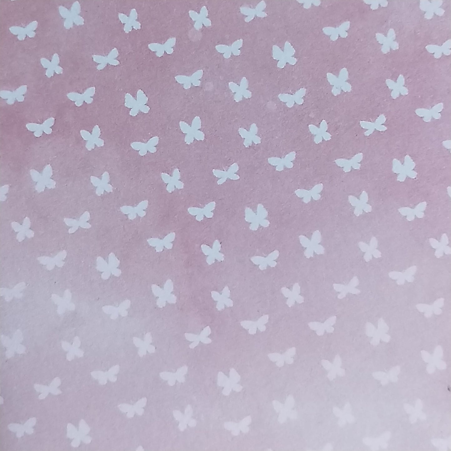 Wilddori 40 sheet Blank Insert - Tiny Butterfly Pink