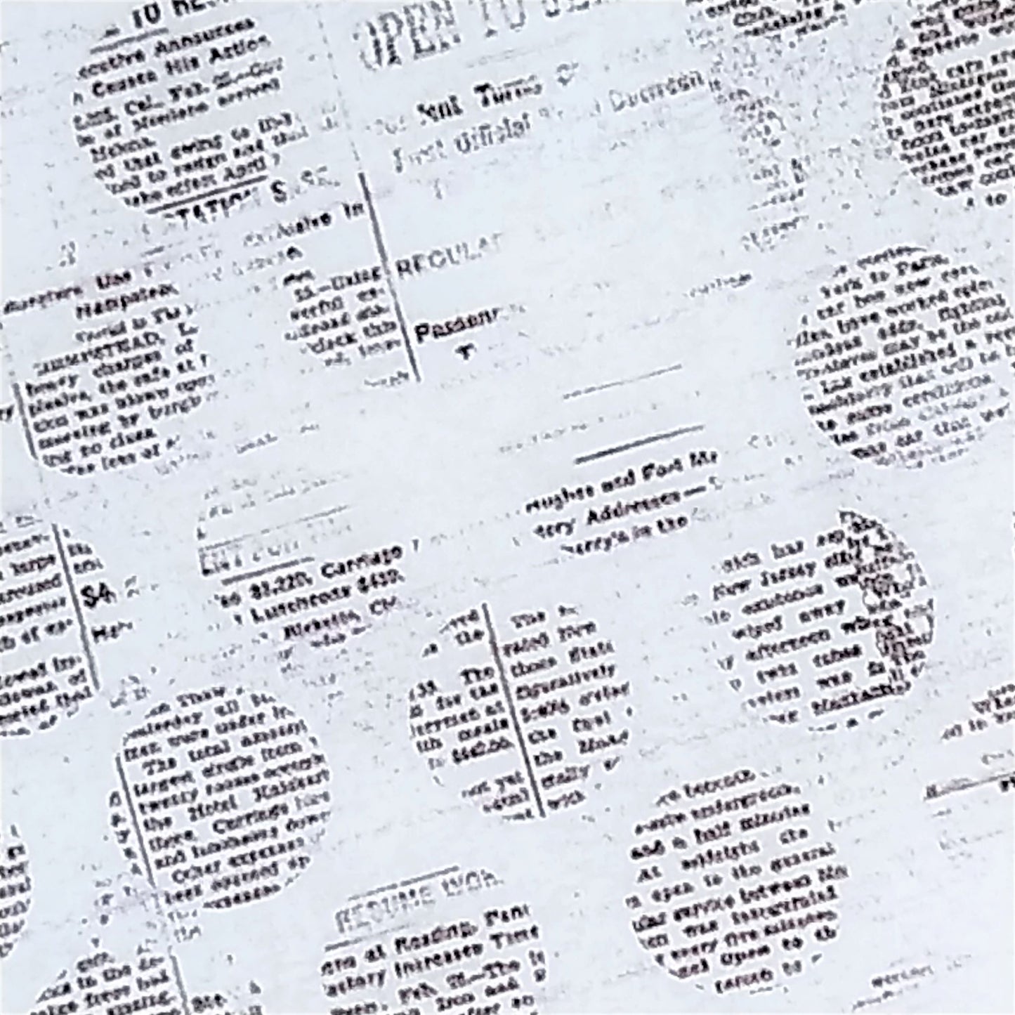 Wilddori 40 sheet Blank Insert - Newsprint Dots