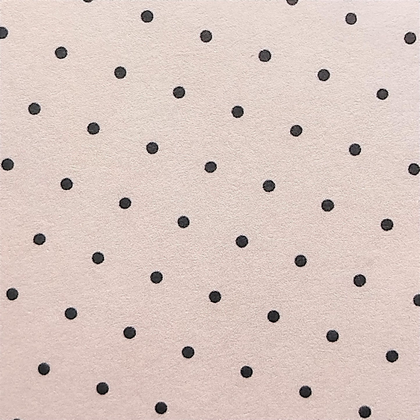 Wilddori 40 sheet Blank Insert - Tiny Dots Pink