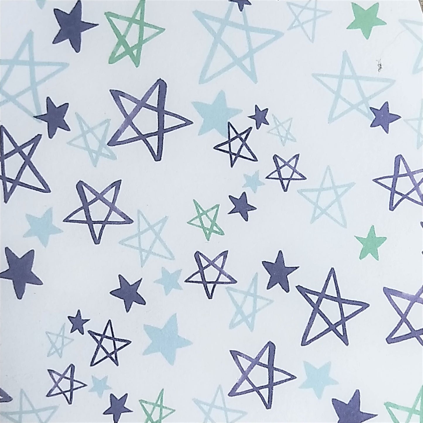 Wilddori 40 sheet Blank Insert - Blue Stars