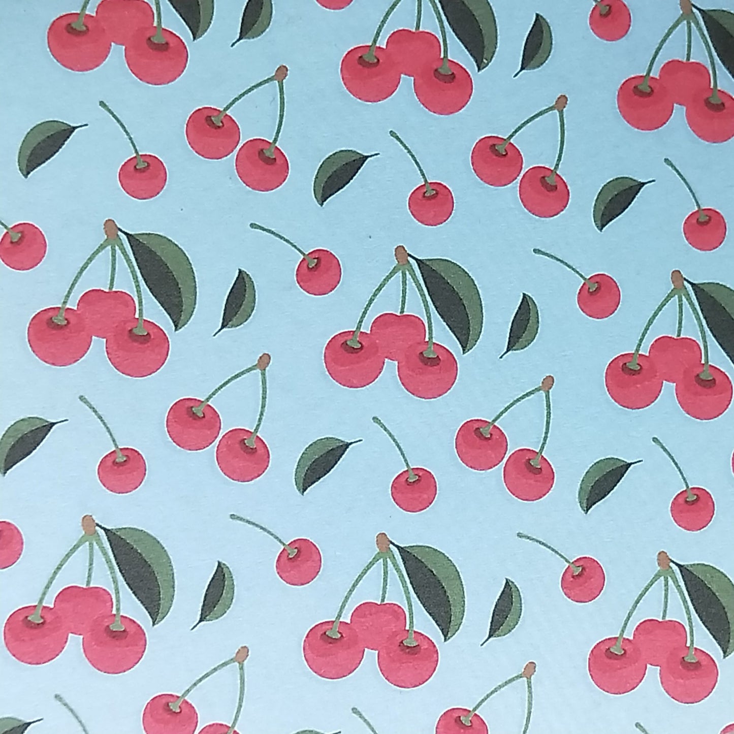Wilddori 40 sheet Blank Insert - Sweet Cherry