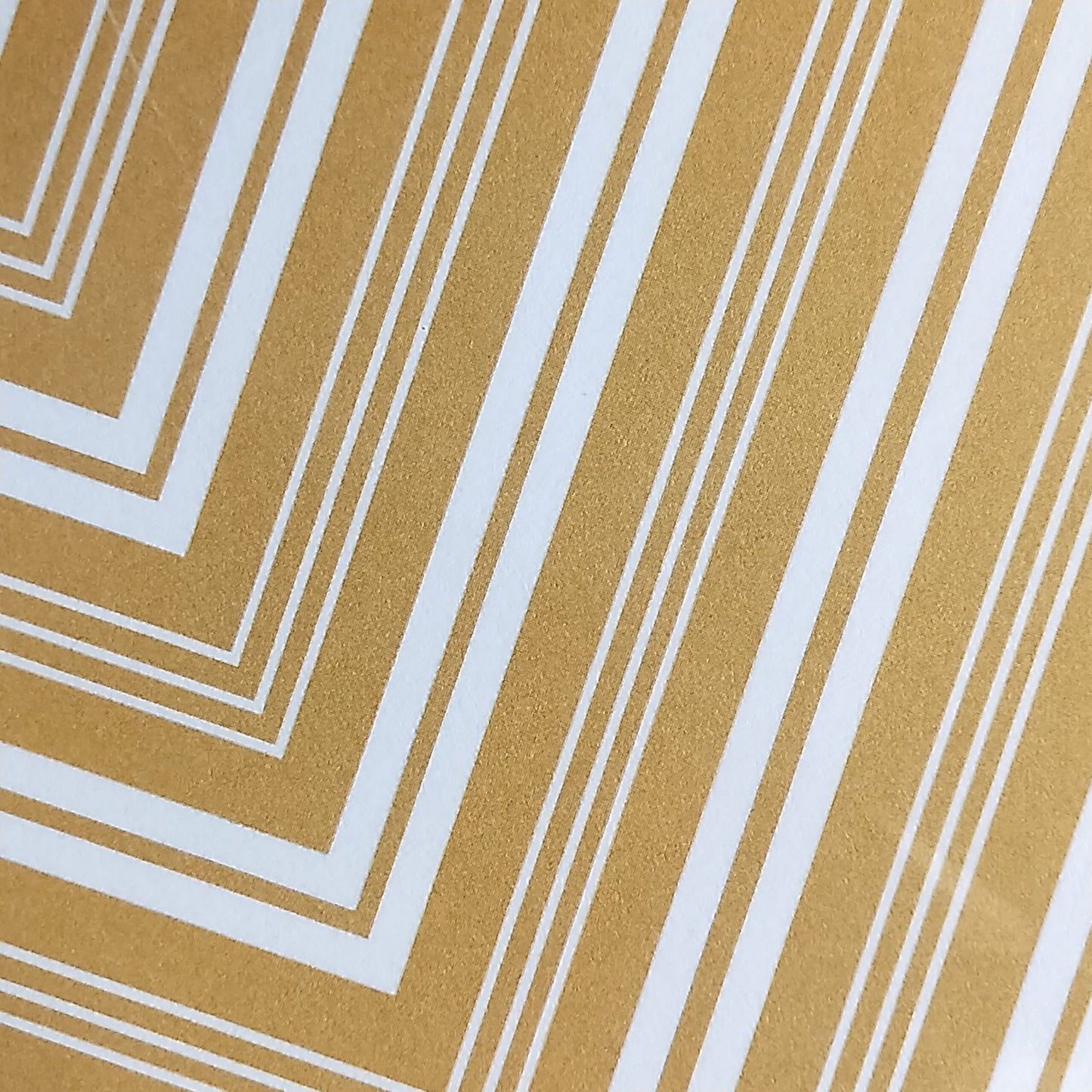 Wilddori 40 sheet Blank Insert - Mustard Stripe