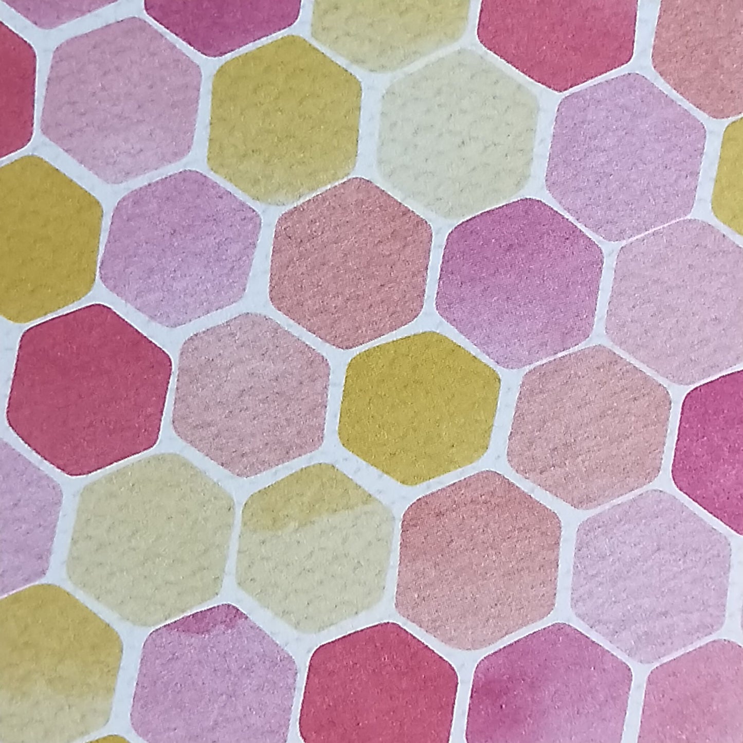 Wilddori 40 sheet Blank Insert - Hexagon