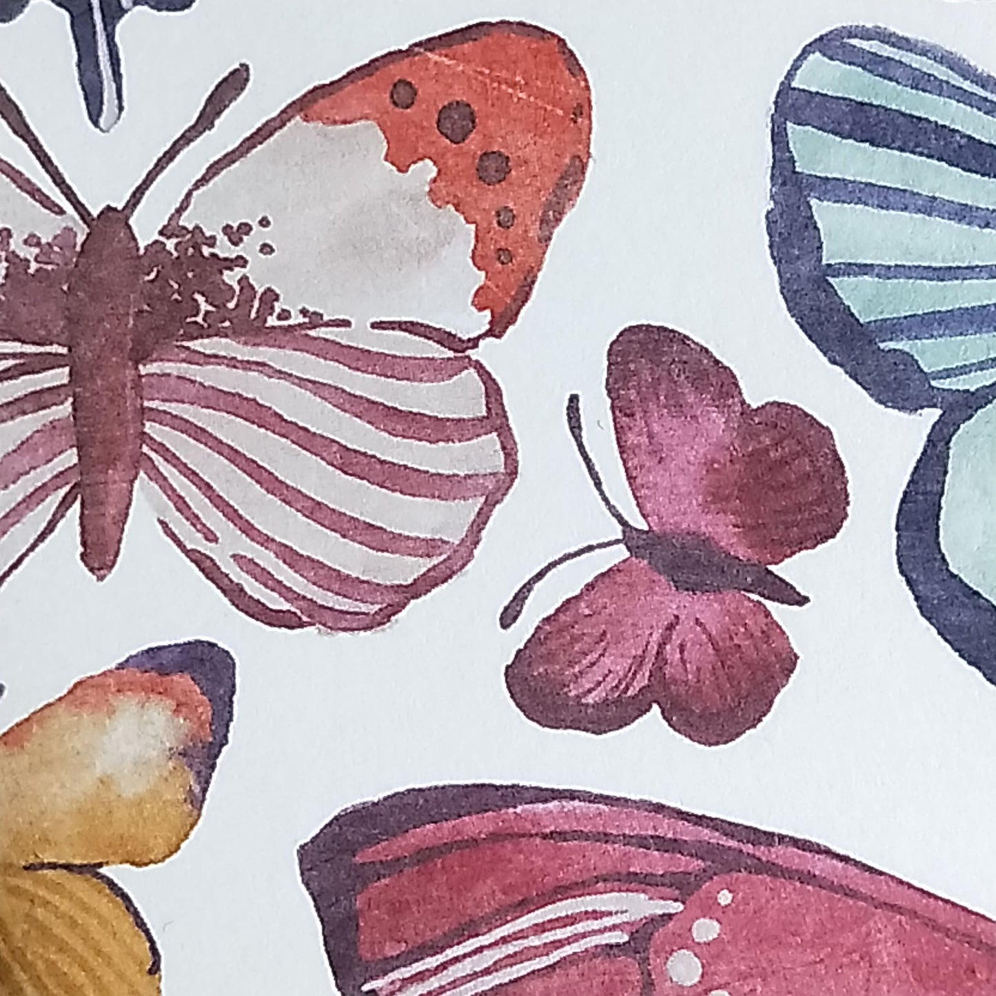 Wilddori 40 sheet Blank Insert - Painted Butterfly