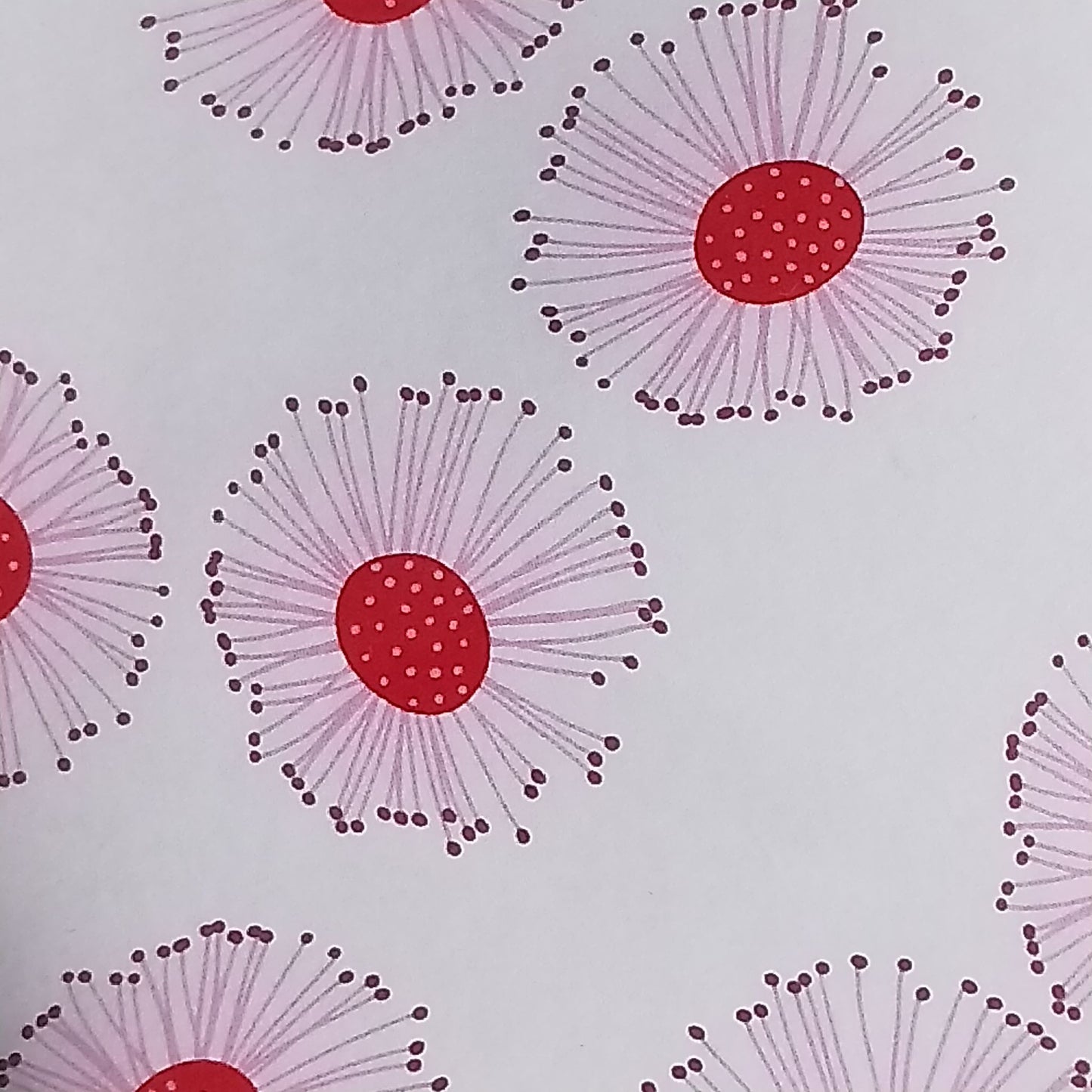 Wilddori 40 sheet Blank Insert - Red Blossom