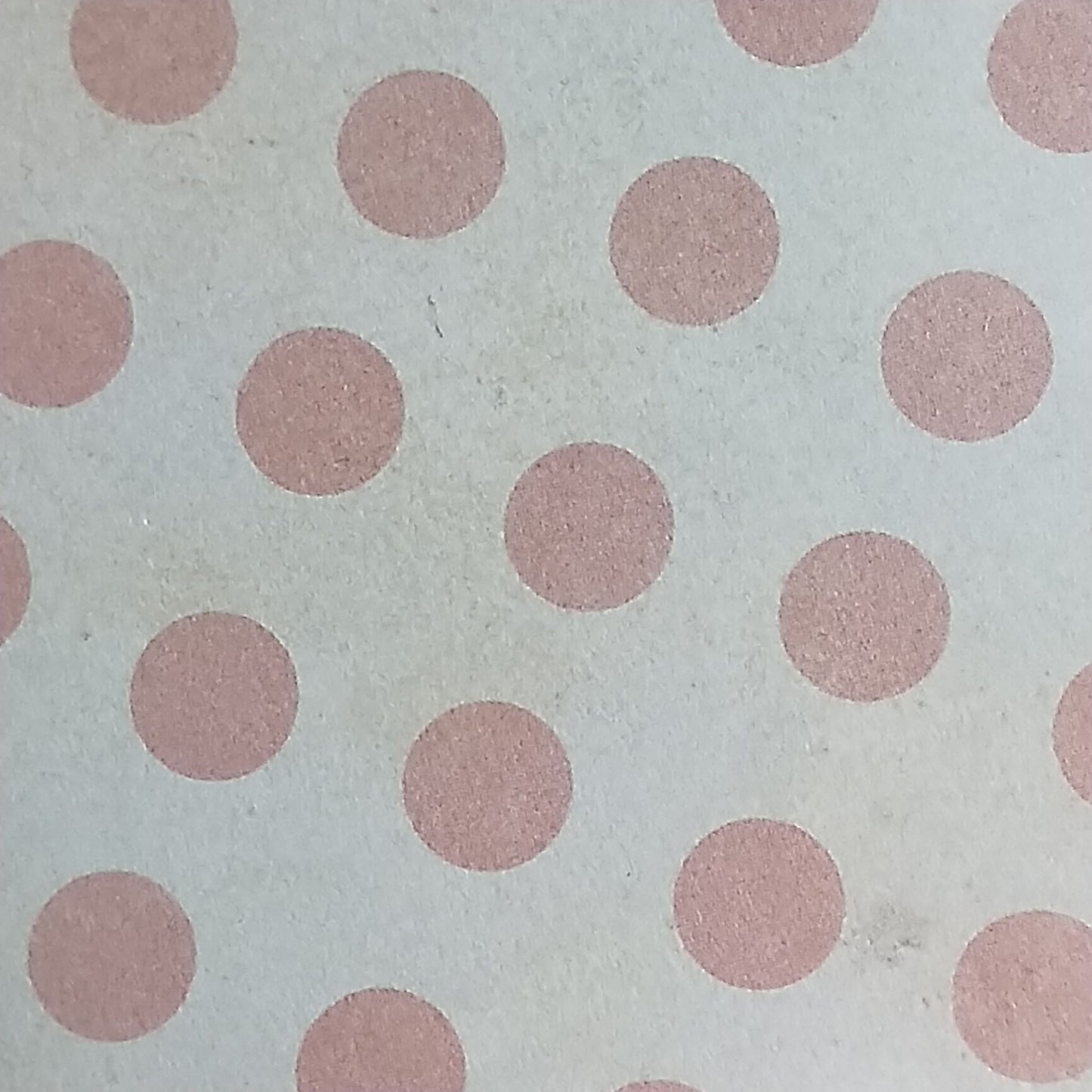 Wilddori 40 sheet Blank Insert - Baby Girl Spotty