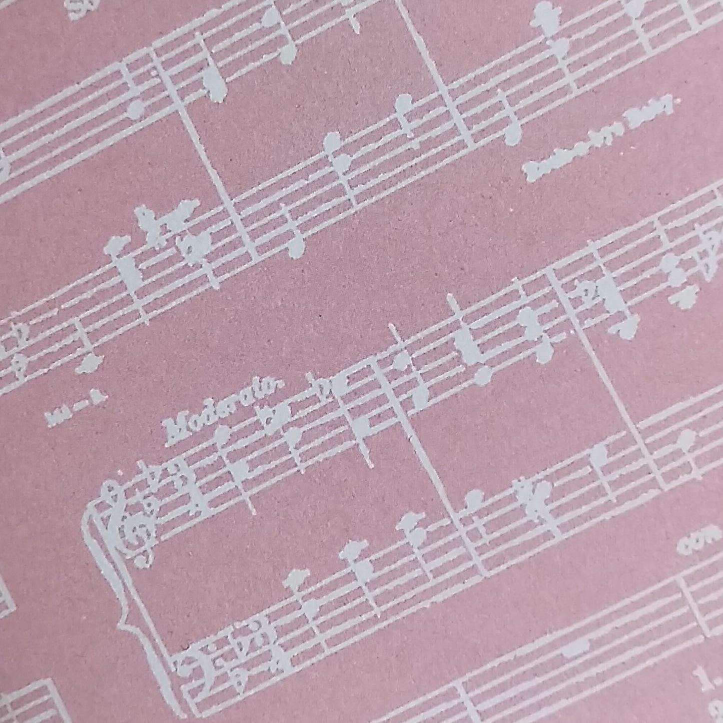 Wilddori 40 sheet Blank Insert - Baby Girl Sheet Music