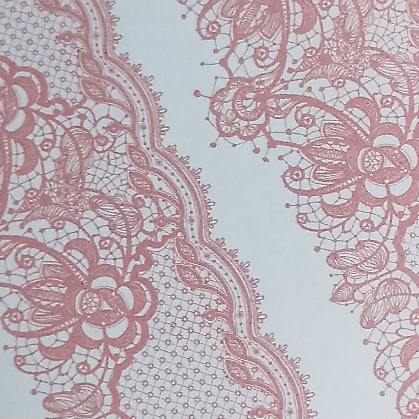 Wilddori 40 sheet Blank Insert - Baby Girl Lace